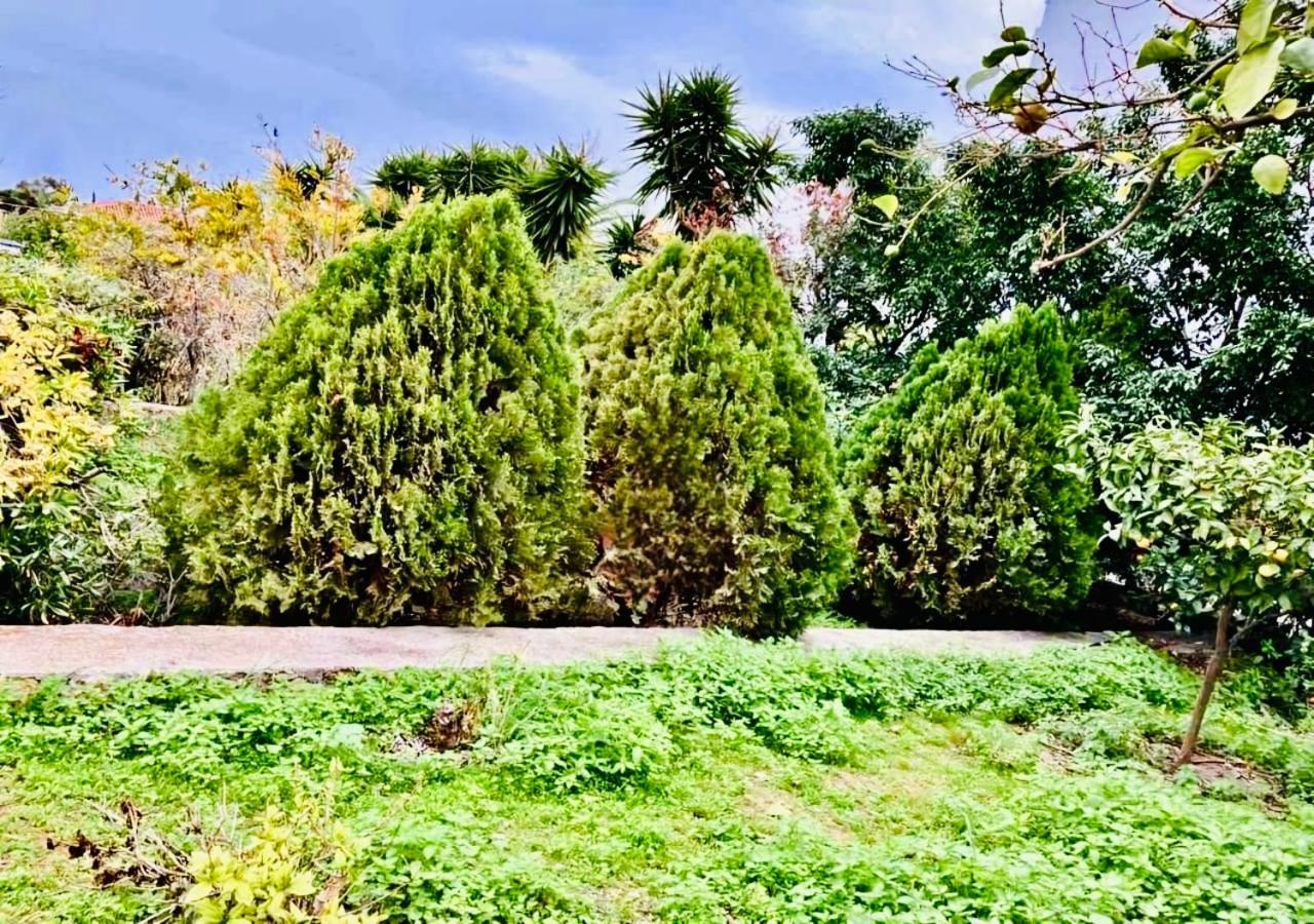 Villa Jenny Stylianou Spetses Town Luaran gambar